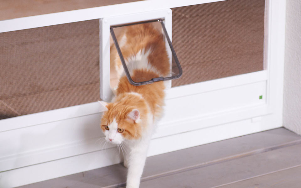 Insektenschutztür mit integrierter Katzenklappe